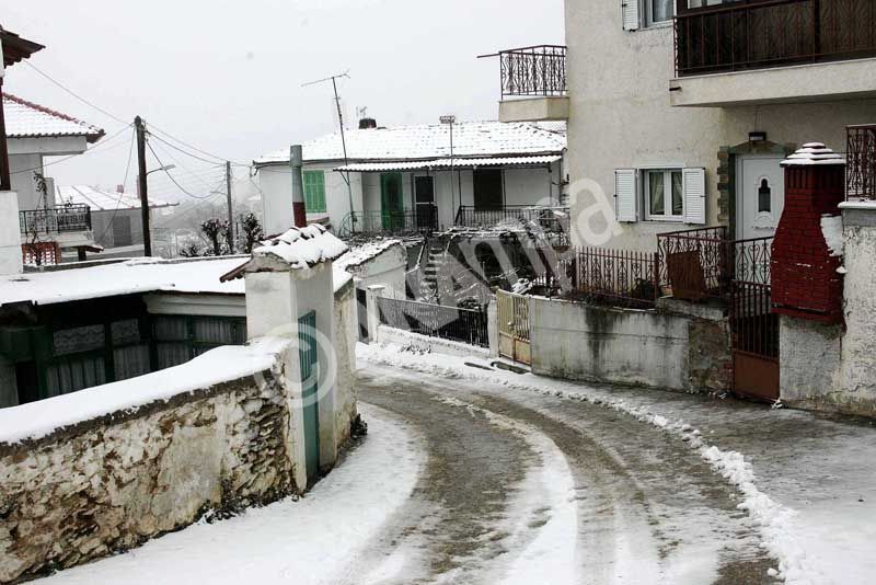 Χιόνια στον Χορτιάτη Θεσσαλονίκης. Δευτέρα 24 Ιανουαρίου 2005 Θεσσαλονίκη