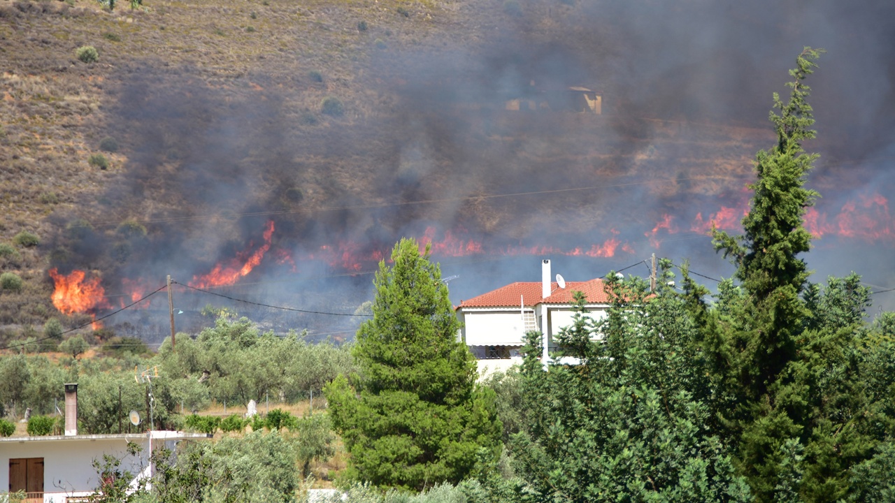 ΑΠΕ-ΜΠΕ/ΜΠΟΥΓΙΩΤΗΣ ΕΥΑΓΓΕΛΟΣ