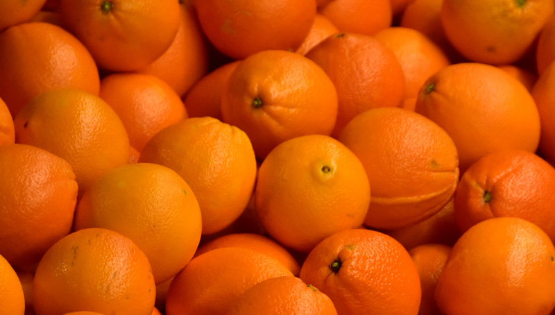 ΑΠΕ-ΜΠΕ/ΜΠΟΥΓΙΩΤΗΣ ΕΥΑΓΓΕΛΟΣ