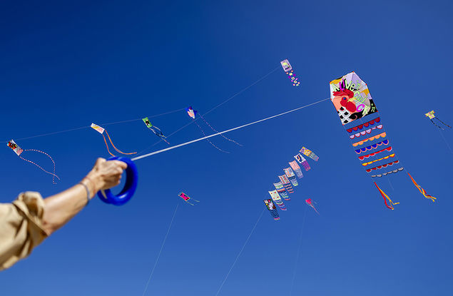 A member of the Kite Club, a collective of artists and kite enthusiasts flies a kite on the beach in Wassenaar, Netherlands EPA/ROBIN VAN LONKHUIJSEN
