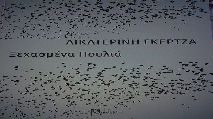 Αυτό το πουλί είναι μεγάλο για μένα