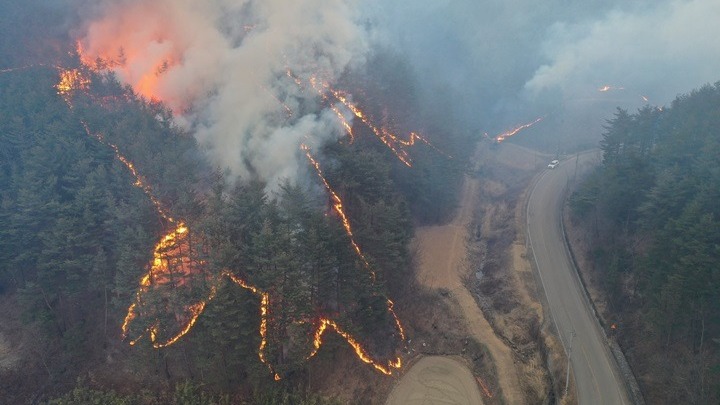 Επιστημονική έρευνα για τις δασικές πυρκαγιές