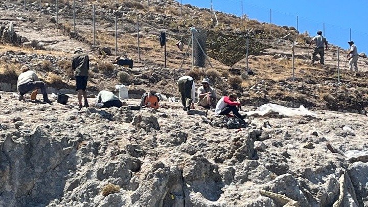 Τα απολιθωμένα δάση της Δυτικής Λέσβου Τα απολιθωμένα δάση της Δυτικής Λέσβου