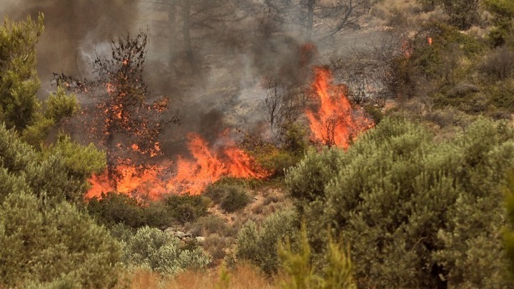 Πυρκαγιά σε δάσος στη Σάμο