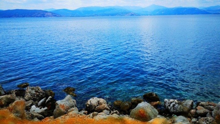 Διάκριση Ελλήνων επιστημόνων που μελετούν τις επιπτώσεις των δασικών πυρκαγιών στα θαλάσσια οικοσυστήματα