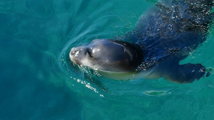 ΕΥΑΓΓΕΛΟΣ ΜΠΟΥΓΙΩΤΗΣ