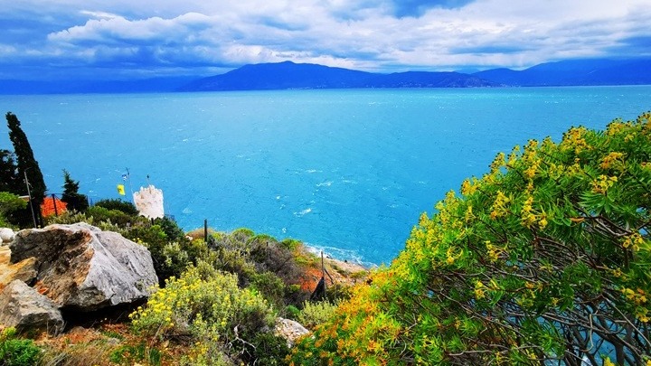 ΝΑΥΠΛΙΟ